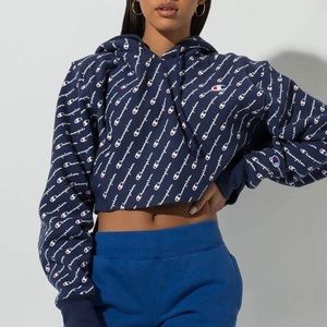 Champion blue hoodie sweater